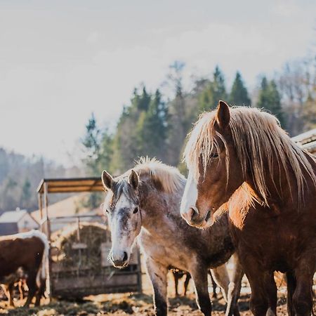 Farm Stay Zurej Sentjur Екстер'єр фото