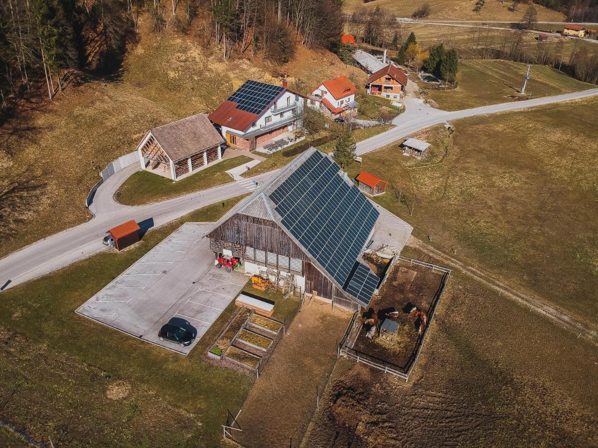 Farm Stay Zurej Sentjur Екстер'єр фото